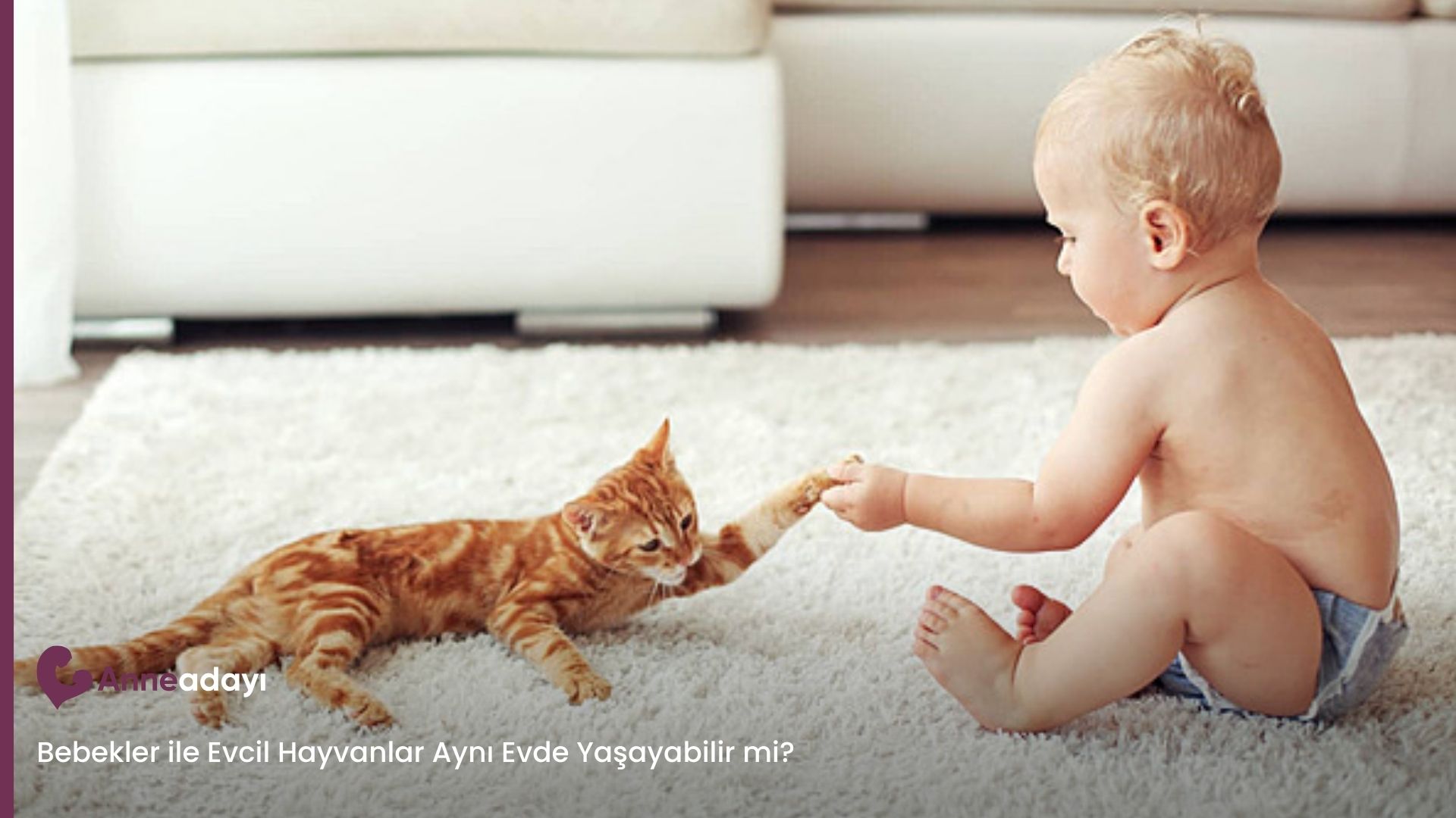 Bebekler ile Evcil Hayvanlar Aynı Evde Yaşayabilir mi?